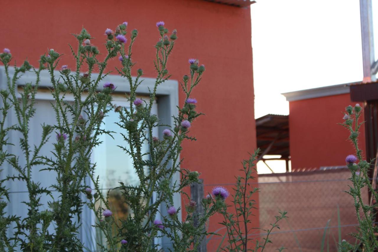 La Narcisa Villa Pehuajo Exteriör bild